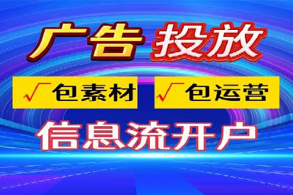 网络推广与竞价策略实战案例